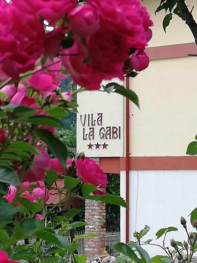 Hotel La Gabi Azuga Exterior foto